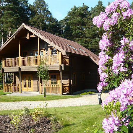 The Dorset Resort East Stoke  Dış mekan fotoğraf