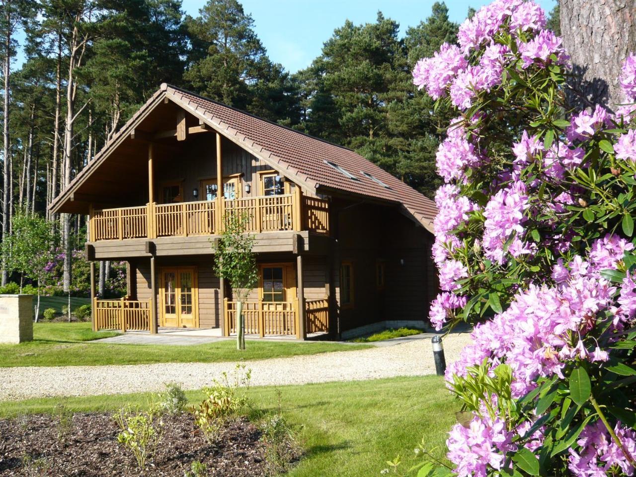 The Dorset Resort East Stoke  Dış mekan fotoğraf
