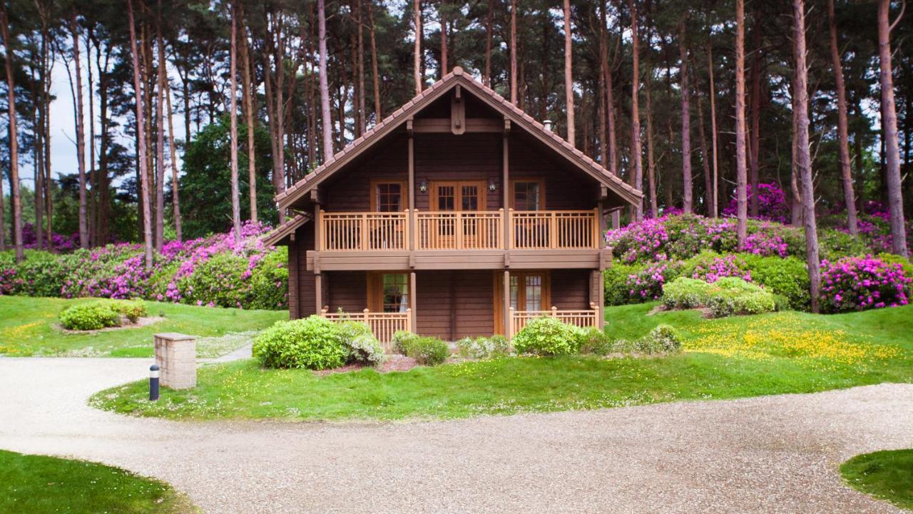 The Dorset Resort East Stoke  Dış mekan fotoğraf